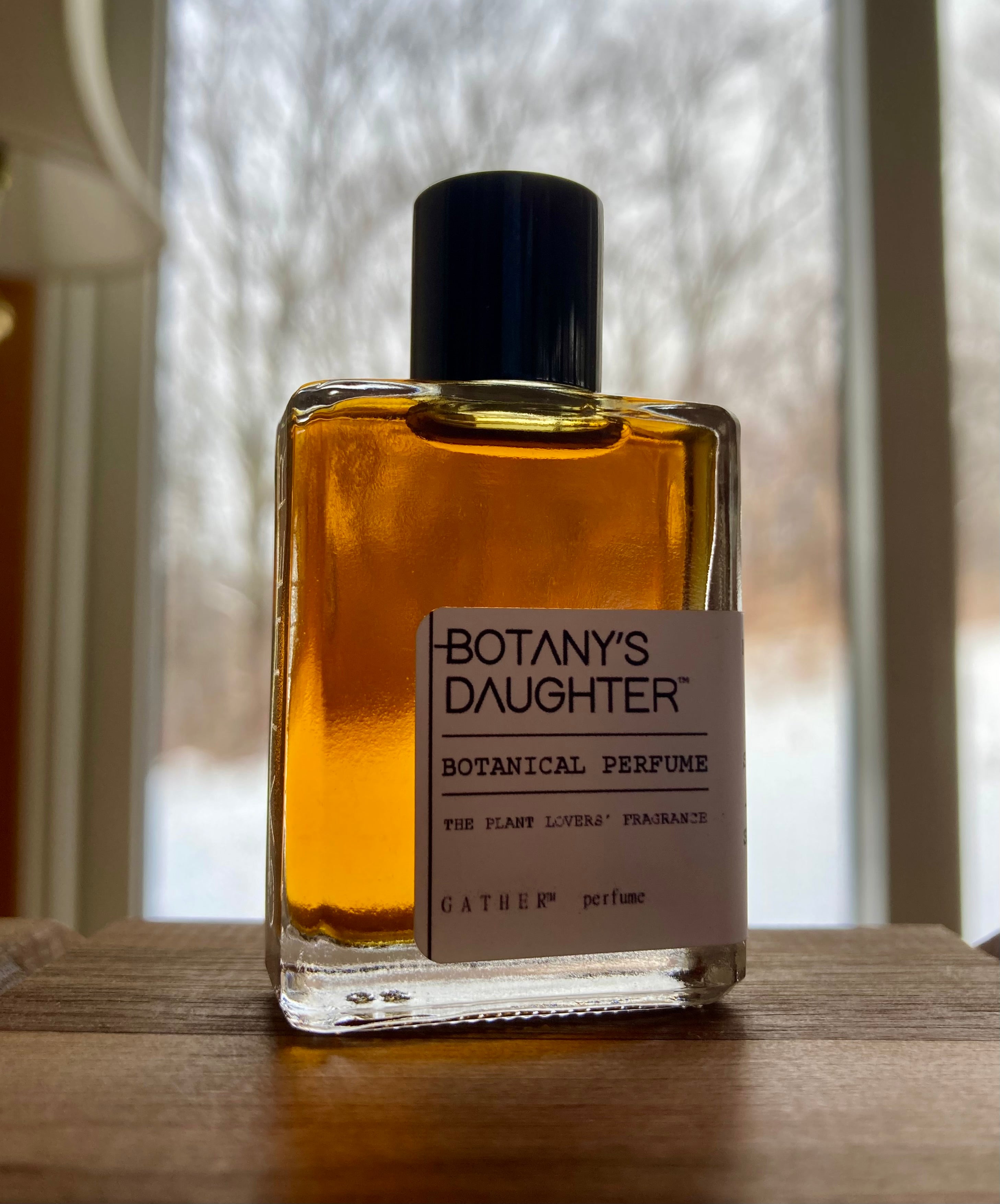 Gather Perfume Assorted Fragrances | 8 Drop & 1/2mL Samples